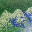 환타지아 이미지