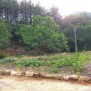 영돌농장 이미지