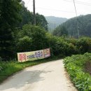 마옥막국수논가운데집 이미지