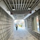 우리 전통떡 만들기(무지개 바람떡, 유자·사과 단자) | [서울 종로] 동병상련 - 고즈넉한 떡카페