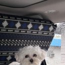 포도나무 민박 이미지