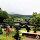 평화운보 네이버블로그