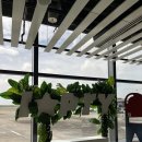 똥꼬집앤장똘뱅이 | 콜롬비아 여행 시작, 산타마르타와 민카