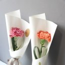 필동어린이집 이미지