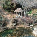 미래사 이미지