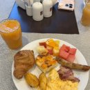 황금호텔 | 후기✈️] 6일차 체코 프라하 카를교 / 프라하 성 / 성 비투스 성당 / 황금소로 관광 &amp; 6번째 호텔 후기