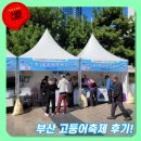 부산관광고등학교 | 부산 송도 고등어축제 방문 후기 (2025년)