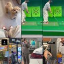 지영골프연습장 이미지