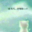단비네 이미지