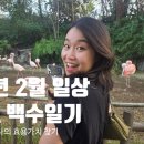 (유)동부에너지 | 화살처럼 지나간 25년 2월 일상_ 운동하기 요리하기 놀러다니기 신혼즐기기 그리고 고민하기