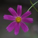 상동초등학교 이미지