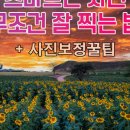 나도 스마트폰 사진작가 이미지