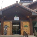 게으른 악어 이미지