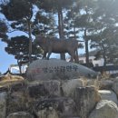 현지네 축산 | 경북 상주 현지맛집 명실상감한우 200그릇 한정 점심특선 한우탕 내돈내산 후기