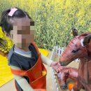 제주삼성어린이집 이미지