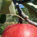 선재농장 이미지