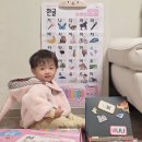 엄마손전집 - 구로구 경인로47길 67 | 블루래빗 다중지능 발달 첫 놀잇감 24개월 가성비전집 후기