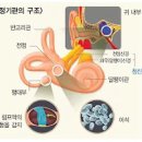 이석증 뜻 원인 증상 자가진단 약 검사 치료법 후유증 재발 자가치료 가능할지 살펴보자 이미지