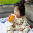 둥이목장 이미지