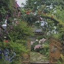 꽃냥이네 촌집 이미지