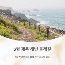 성산사거리~월평마을입구 | 3월에 걷기 좋은 제주 해변가 올레길 추천