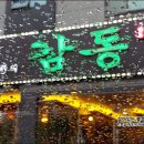 이영광의감동 이미지