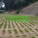 석구낚시터