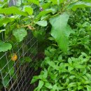 진량정형외과의원 이미지