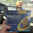 문덕365약국 이미지