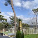 하이안 풀빌라 이미지