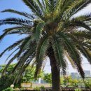 스테이 협재10길 이미지