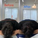 더필라테스 금릉점 | [공지] [금촌 필라테스] 10년 된 만성 두통과 어깨 통증 잡은 찐 PT 후기