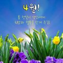 황무지 4월은 잔인한 달/ T. S. 엘리엇 이미지