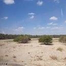 광야농장 이미지