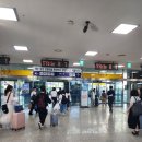 커핑 브레드 | 8월의 붓싼💭 톤쇼우 그리다부부 흰여울문화마을 부산역