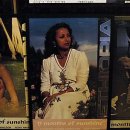 공지천 에디오피아 이미지