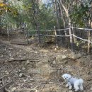 노고산 등산로 | 애견동반 노고산 등산 후기