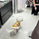 장등로 | 🆆 대구 혼주 한복 본식 후기 (은가비한복,대구혼주한복대여,프로젝트88)