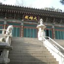 미타사 - 1539 | 미타사