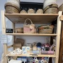 돌고래약품 이미지