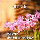 행복한하루 이미지