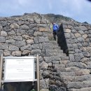 제주 산방산 암벽식물지대 이미지