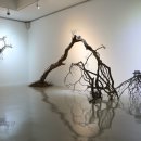 인간+자연 이미지