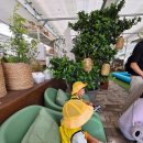 기서농장 이미지