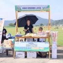 야옹아멍멍해봐나주점