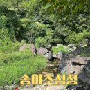 송이 초심정 | 대구 근교 야외 계곡 식당 '송이 초심정' 닭백숙, 오리주물럭 내돈내산 솔직 후기