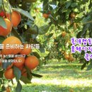 동홍2통 이미지