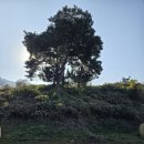 화원2리마을회관 | 달성군 화원읍 마비정벽화마을에서 추억여행을 떠나보세요