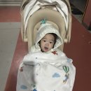 주천카 | 르베르 스핀 360 유모카 내돈내산 후기