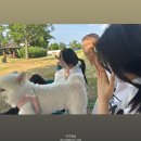 혁이농장 | 유월 시작